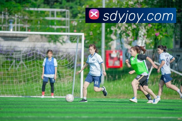 多媒体互动体验